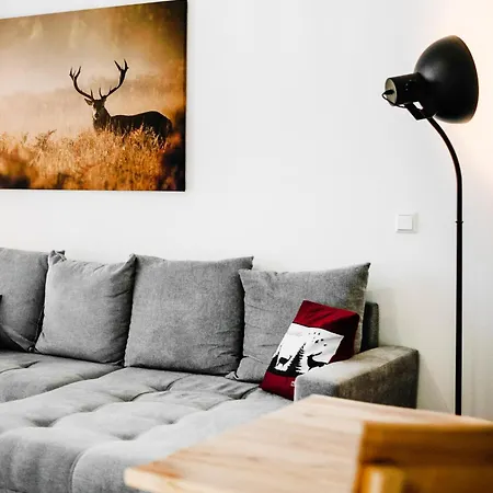 Schwarzwald Mit Balkon-garage-aufzug *