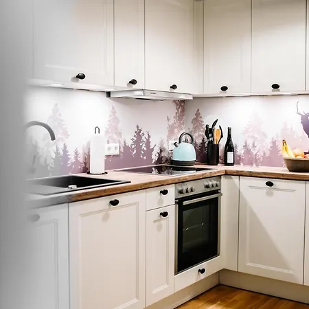 Schwarzwald Mit Balkon-garage-aufzug * 菲林根-施文宁根