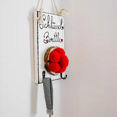 Schwarzwald Mit Balkon-garage-aufzug 公寓 *