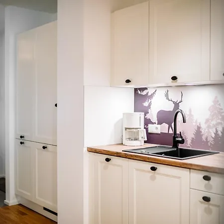 Schwarzwald Mit Balkon-garage-aufzug * 菲林根-施文宁根