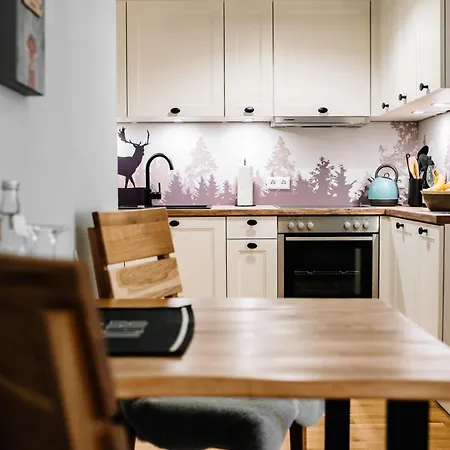 公寓 Schwarzwald Mit Balkon-garage-aufzug 菲林根-施文宁根