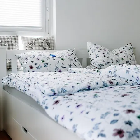 公寓 Schwarzwald Mit Balkon-garage-aufzug *