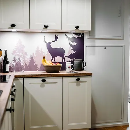 Schwarzwald Mit Balkon-garage-aufzug *